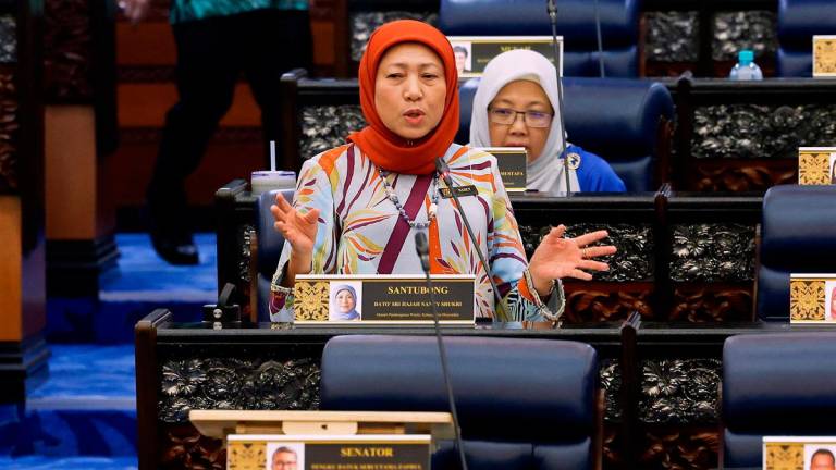 - BERNAMApix