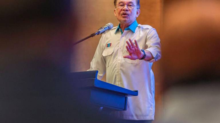 BERNAMAPIX