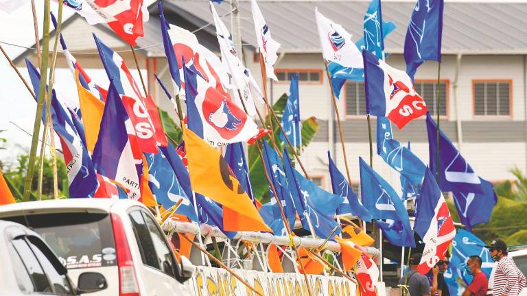 Political parties step up visibility on the ground with colourful banners and flags as election fever heats up. – BERNAMApix