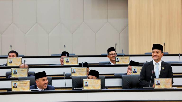 Bernamapix.