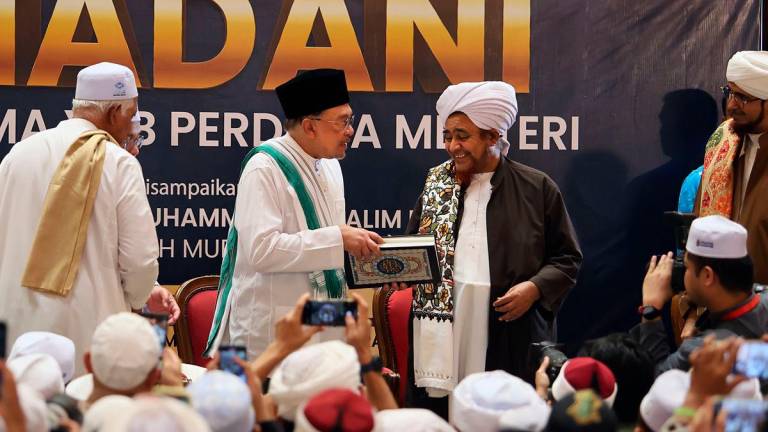 Bernamapix