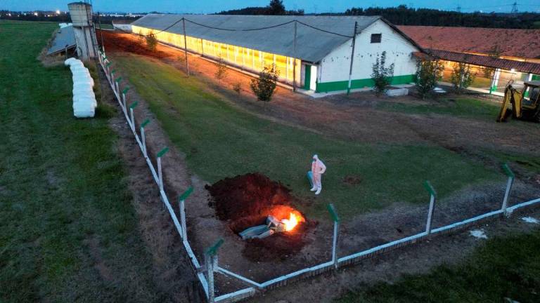 A person wearing a hazmat suit stands next to burning egg cartons and other items in a hole in the ground at a poultry farm after Brazil confirmed its first outbreak of bird flu on Friday, triggering protocols for a country-wide trade ban from top buyer China and state-wide restrictions for other major consumers, in Montenegro, Brazil May 16, 2025. REUTERSpix