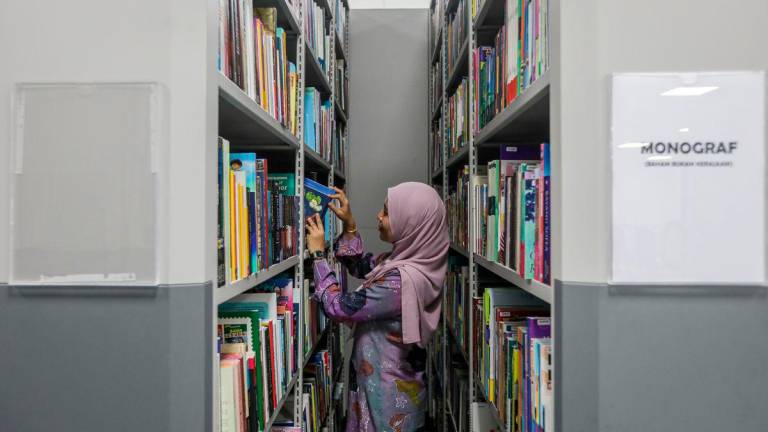 Pix for visual purposes - BERNAMApix