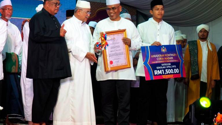 Bernamapix