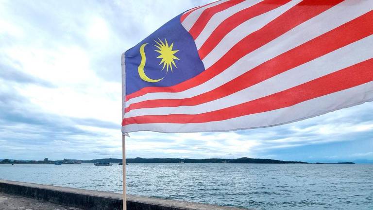 Pix for visual purposes. Bernamapix