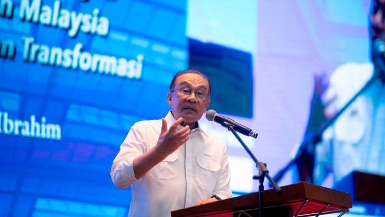 Bernamapix