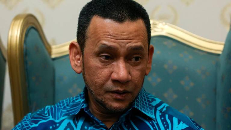 - BERNAMApix