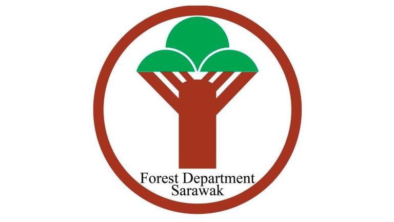 via Forest Department Sarawak / Facebook