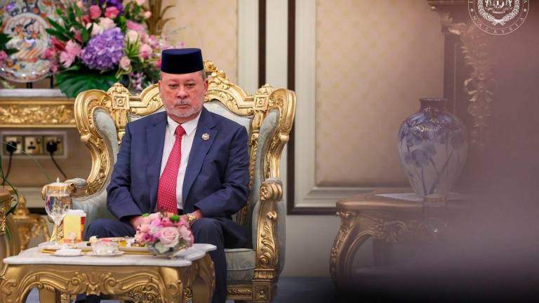 Sultan Ibrahim Sultan Iskandar/Facebook