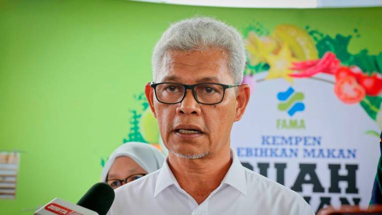 FAMA chairman Aminuddin Zulkipli - Photo by BERNAMA