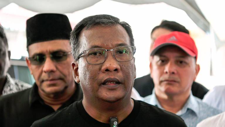 BERNAMApix
