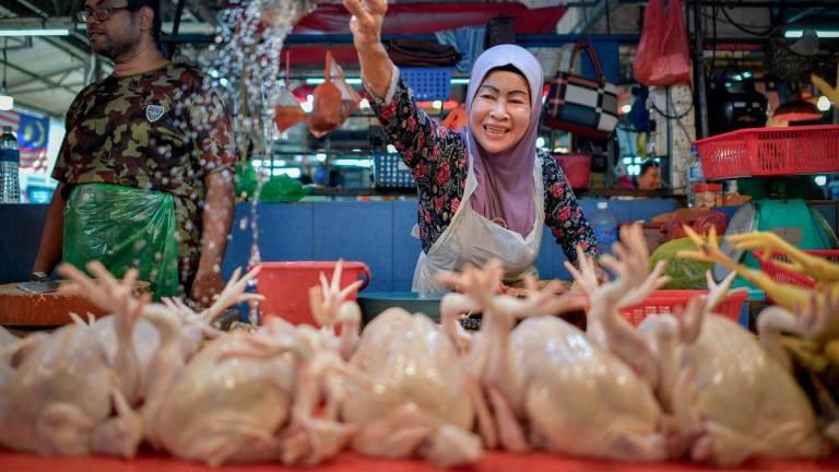 Pix for representational purposes - BERNAMAPIX