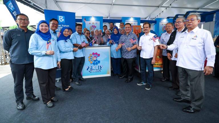 BERNAMApix