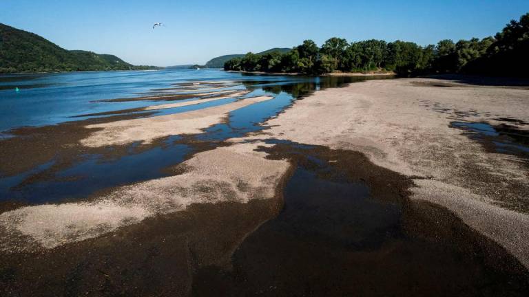 A drone view shows sandbanks emerging from the water due to the low water level of the Danube at its confluence with the Ipoly near Szob, Hungary, July 3, 2025. - REUTERSPIX