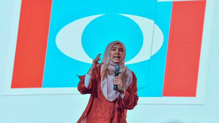 BERNAMAPIX