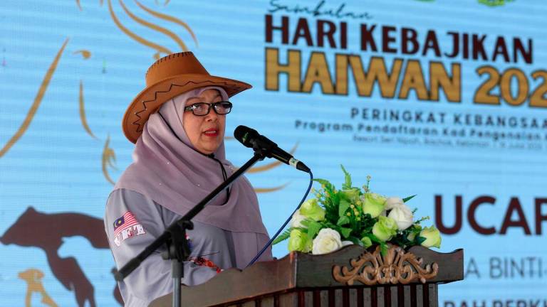 BERNAMAPIX