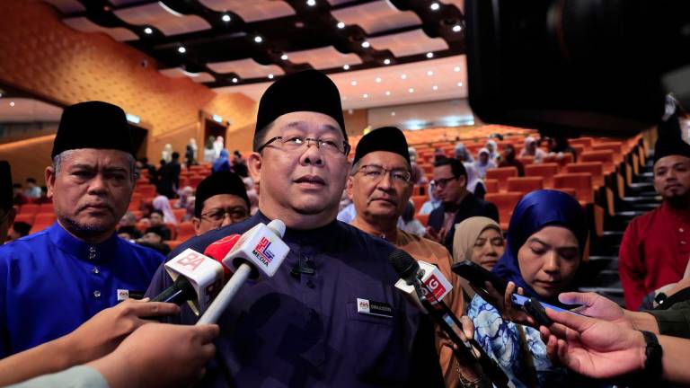BERNAMAPIX