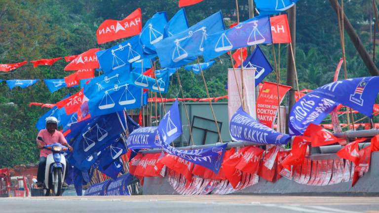 Mujahid said the people want an effective government and to do that there must be smart cooperation, respect for grassroots realities and priority on national interest. – AMIRUL SYAFIQ/THESUN