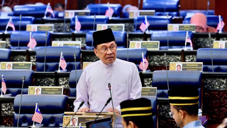 BERNAMAPIX
