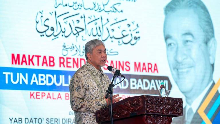 BERNAMAPIX