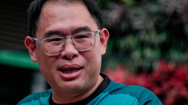 State Health and Environment Committee chairman Ling Tian Soon - BERNAMAPIX