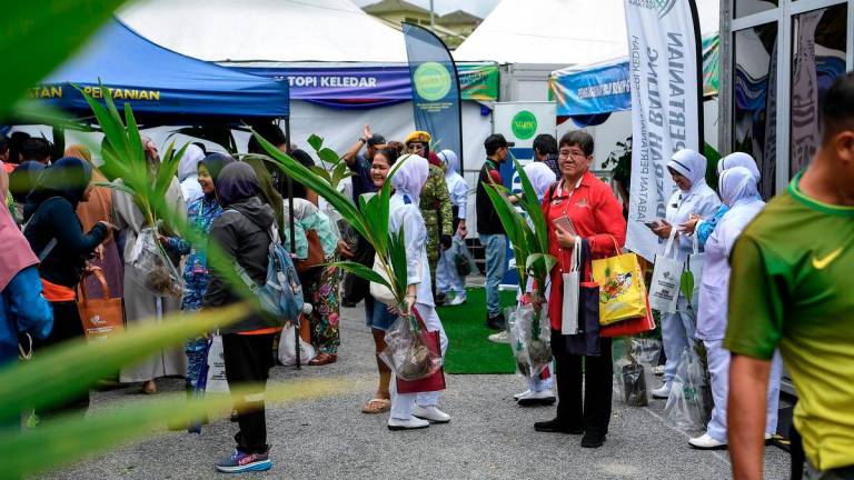 Sebahagian penduduk daerah Baling tidak melepaskan peluang mendapatkan edaran benih pokok percuma sempena Program MADANI Rakyat (PMR) Kedah yang berlangsung di Kompleks Sukan Majlis Daerah Baling, hari ini. - BERNAMA