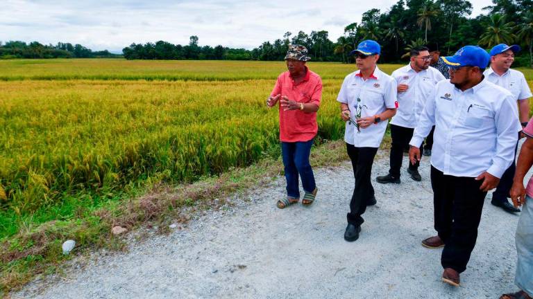 fotoBERNAMA