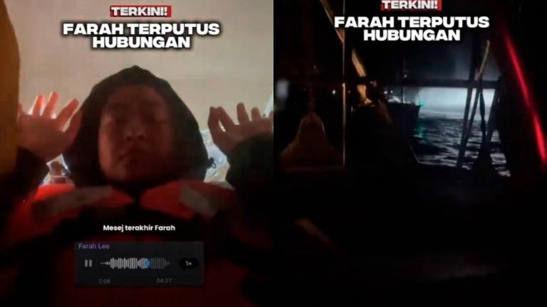 Credit: @farahlee.fl / TikTok