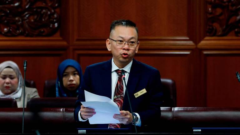 Deputy Plantation and Commodities Minister Datuk Chan Foong Hin. - BERNAMA