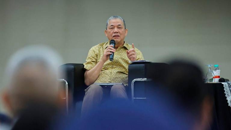 Deputy Prime Minister Datuk Seri Fadillah Yusof - Photo by BERNAMA