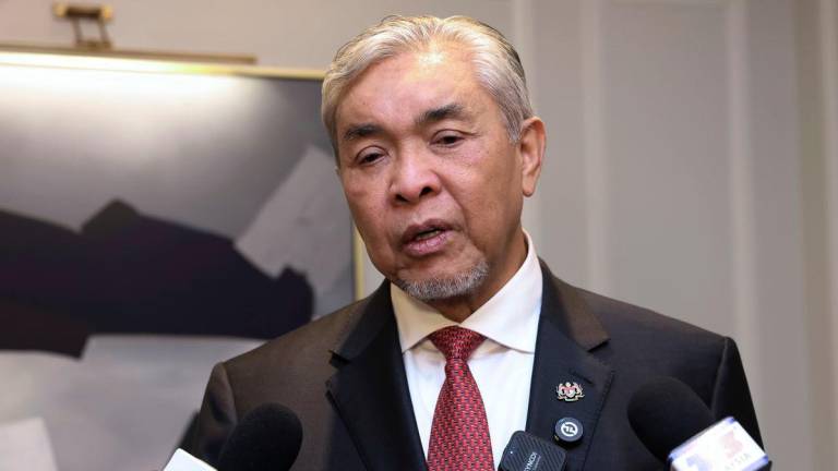 BERNAMApix