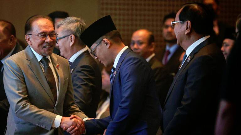BERNAMApix