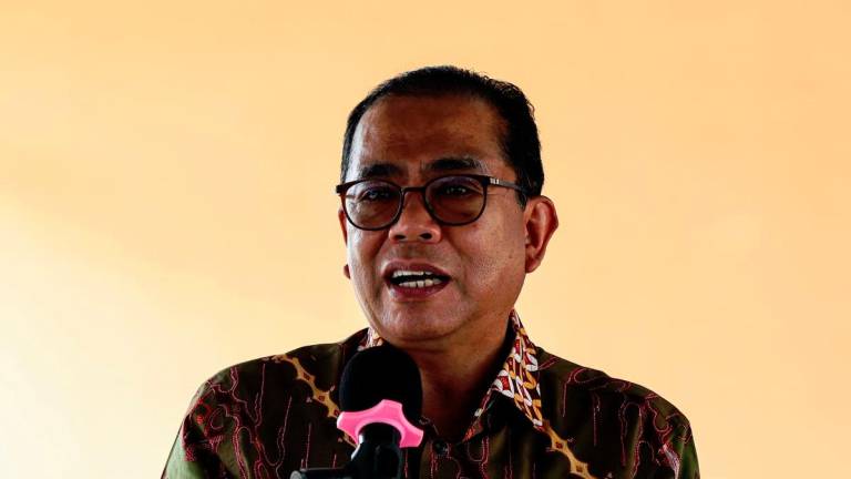 BERNAMApix
