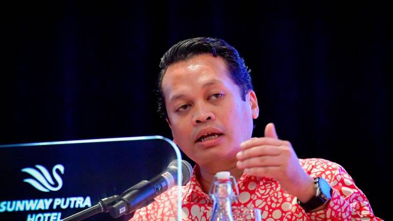 BERNAMApix