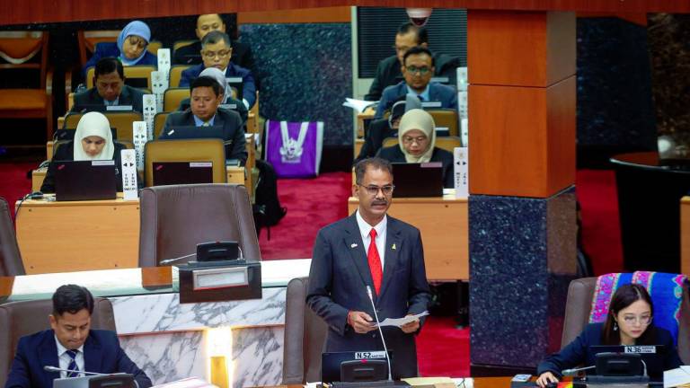 BERNAMApix