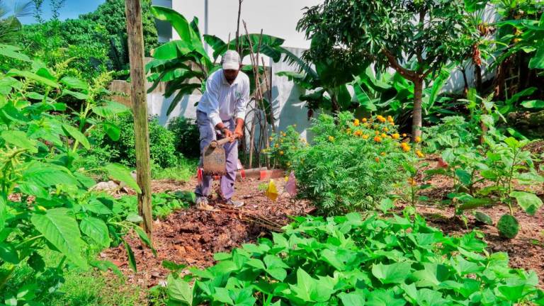 Rais said empowering smallholder farmers to directly benefit from the produce of their land on a national scale would boost national food security. – SUNPIX