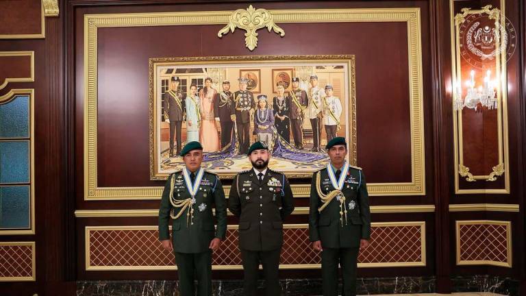 Credit: Sultan Ibrahim Sultan Iskandar / Facebook
