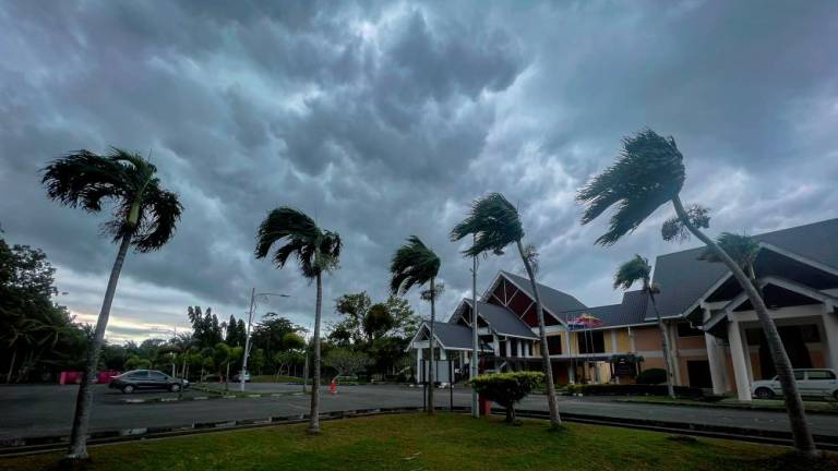 Pix for representational purposes - BERNAMAPIX