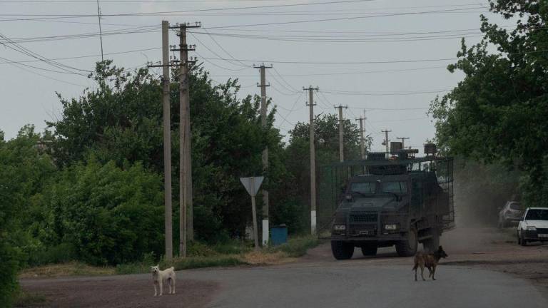 Dogs walk past a Ukrainian military vehicle at an undisclosed location in eastern Ukraine on June 19, 2025, amid the Russian invasion of Ukraine. - AFPPIX