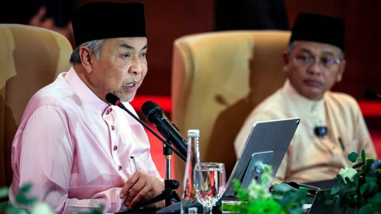 BERNAMAPIX