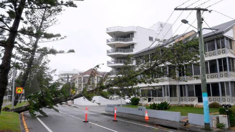 A fallen tree lies on powerlines at Labrador following heavy rains and winds caused by Cyclone Alfred on the Gold Coast, Australia. AAP Image/Dave Hunt/via REUTERS