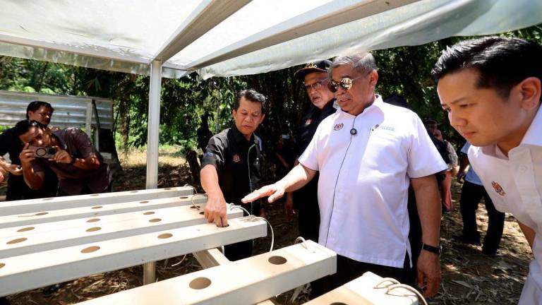 Menteri Pertanian dan Keterjaminan Makanan, Datuk Seri Mohamad Sabu,melakukan tinjauan projek tanaman sayur hidroponik yang terjejas teruk akibat banjir di Kampung Gading Kimanis, Papar, sempena Program Sentuhan MADANI Bencana Banjir Sabah pada Sept 23, 2025.