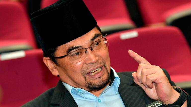 Datuk Mohd Shahzihan Ahmad - Bernamapix