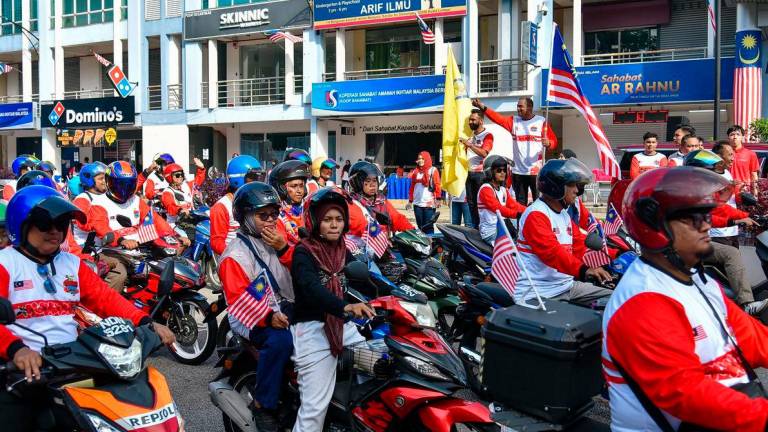 Bernamapix