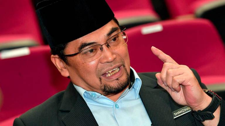 BERNAMAPIX