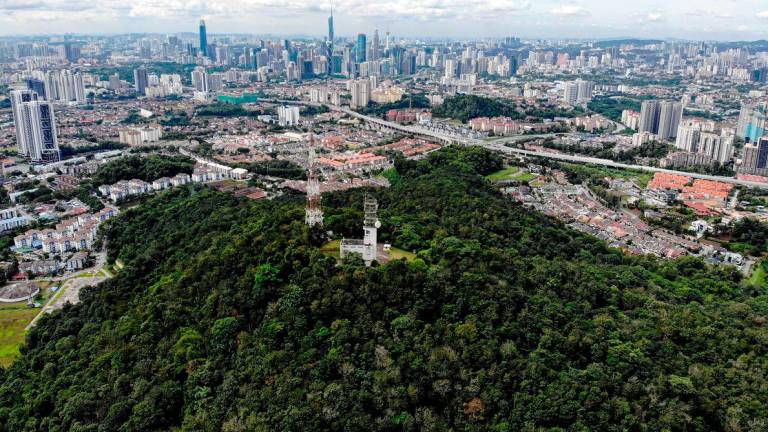 Pix for representational purposes - BERNAMAPIX