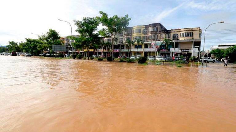Pix for visual purposes. Bernamapix
