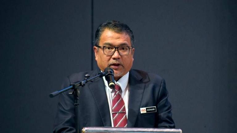 BERNAMApix