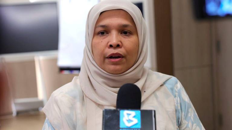 Bernamapix