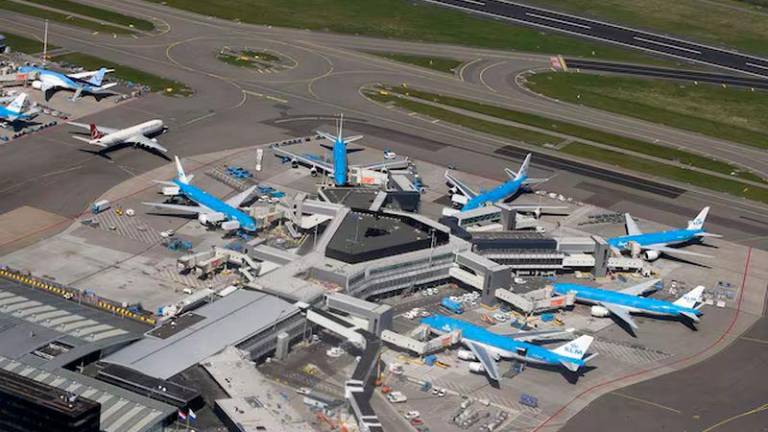 KLM aircraft are seen on the tarmac at Schipol airport near Amsterdam - REUTERSpix